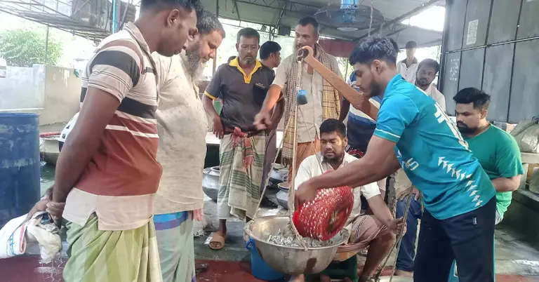 মাছের বাজার